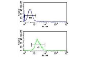 Integrin beta 3 antibody flow cytometric analysis of CEM cells (bottom histogram) compared to a negative control (top histogram). (Integrin beta 3 anticorps  (AA 734-760))