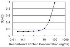 Detection limit for recombinant GST tagged EOMES is 3 ng/ml as a capture antibody. (EOMES anticorps  (AA 461-569))