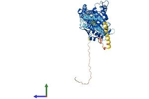 AlphaFold protein structure predicition of Mouse Recombinant Atl1 Protein, UniprotID Q8BH66