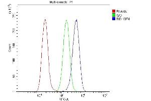 Flow Cytometry analysis of A549 cells using anti- Bid antibody (ABIN7599062). (BID anticorps  (AA 1-195))