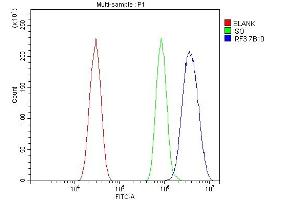 Flow Cytometry analysis of HEPA1-6 cells using anti-IRF3 antibody (ABIN7599372).