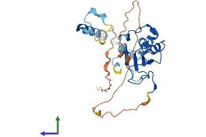 AlphaFold protein structure predicition of Mouse Recombinant Mettl8 Protein, UniprotID A2AUU0