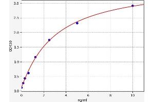 Cystatin B (Stefin B) (CSTB) ELISA Kit