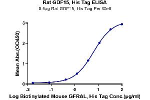 Immobilized Rat GDF15, His Tag at 5 μg/mL (100 μL/Well) on the plate. (GDF15 Protein (AA 189-303) (His tag))
