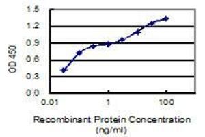 Detection limit for recombinant GST tagged AMPD2 is 0. (AMPD2 anticorps  (AA 86-185))