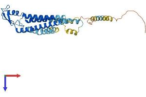 AlphaFold protein structure predicition of Human Recombinant GJB1 Protein, UniprotID P08034
