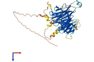AlphaFold protein structure predicition of Human Recombinant DCAF12L1 Protein, UniprotID Q5VU92