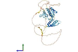 AlphaFold protein structure predicition of Mouse Recombinant Hnrnpk Protein, UniprotID P61979