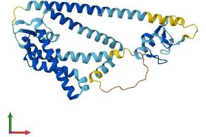 AlphaFold protein structure predicition of Mouse Recombinant Pex10 Protein, UniprotID B1AUE5
