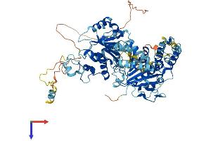 AlphaFold protein structure predicition of Mouse Recombinant Rad54l Protein, UniprotID P70270