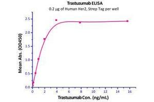 Immobilized Human Her2, Strep Tag (Cat# HE2-H5287) at 2 μg/mL (100 μl/well) can bind trastuzumab with a linear range of 0.