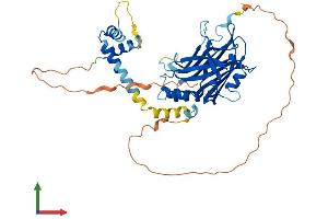 AlphaFold protein structure predicition of Human Recombinant TEAD4 Protein, UniprotID Q15561