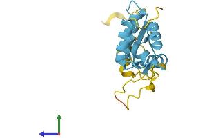 AlphaFold protein structure predicition of Mouse Recombinant Rpl12 Protein, UniprotID P35979