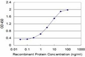 Detection limit for recombinant GST tagged CBS is approximately 0. (CBS anticorps  (AA 1-100))