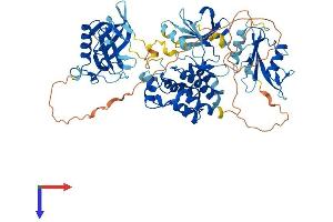 AlphaFold protein structure predicition of Mouse Recombinant Bmx Protein, UniprotID P97504