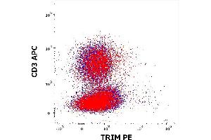 Comparison of anti-TRIM (TRIM-04) PE antibody nonspecific intracellular staining (red) and mouse IgG2a Isotype control (MOPC-173) PE antibody nonspecific intracellular staining (concentration in sample 5 μg/mL, same as anti-TRIM PE concentration, blue) co-stained by anti-mouse CD3 (145-2C11) APC antibody (concentration in sample 1,2 μg/mL) in flow cytometry analysis of murine splenocyte suspension.