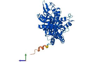 AlphaFold protein structure predicition of Human Recombinant TUBB8 Protein, UniprotID Q3ZCM7