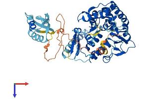 AlphaFold protein structure predicition of Human Recombinant TPH2 Protein, UniprotID Q8IWU9