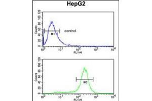 Flow cytometric analysis of HepG2 cells (bottom histogram) compared to a negative control cell (top histogram).