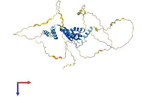 AlphaFold protein structure predicition of Human Recombinant KHDRBS1 Protein, UniprotID Q07666