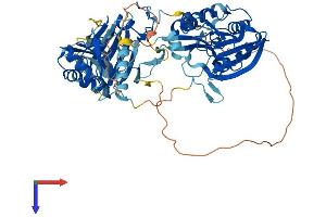 AlphaFold protein structure predicition of Human Recombinant ALKBH8 Protein, UniprotID Q96BT7