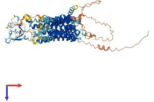 AlphaFold protein structure predicition of Mouse Recombinant Slco3a1 Protein, UniprotID Q8R3L5