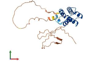AlphaFold protein structure predicition of Human Recombinant CARD19 Protein, UniprotID Q96LW7