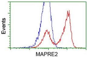 HEK293T cells transfected with either RC200259 overexpress plasmid (Red) or empty vector control plasmid (Blue) were immunostained by anti-MAPRE2 antibody (ABIN2454544), and then analyzed by flow cytometry. (MAPRE2 anticorps)