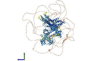 AlphaFold protein structure predicition of Human Recombinant DNMBP Protein, UniprotID Q6XZF7