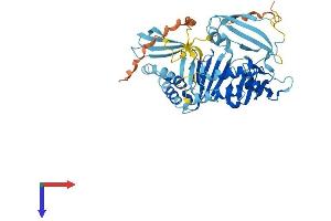 AlphaFold protein structure predicition of Human Recombinant ZPR1 Protein, UniprotID O75312