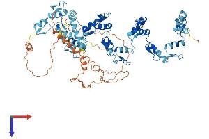 AlphaFold protein structure predicition of Human Recombinant ZNF567 Protein, UniprotID Q8N184