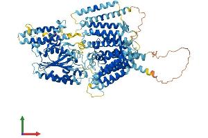 AlphaFold protein structure predicition of Human Recombinant PIGG Protein, UniprotID Q5H8A4