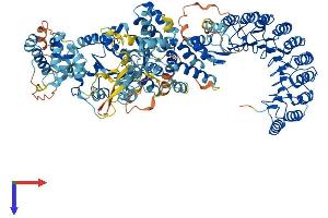 AlphaFold protein structure predicition of Mouse Recombinant Nlrp3 Protein, UniprotID Q8R4B8