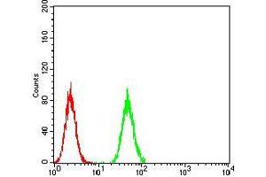 Flow cytometric analysis of Hela cells using CBX1 mouse mAb (green) and negative control (red).