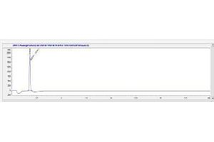 Calcitonin-Related Polypeptide alpha (CALCA) peptide (Ovalbumin)