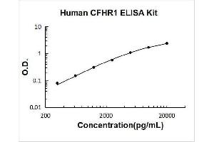 Complement Factor H-Related 1 (CFHR1) ELISA Kit