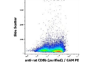 Flow cytometry surface staining pattern of rat splenocytes suspension stained using anti-rat CD8b (341) purified antibody (concentration in sample 1 μg/mL) GAM PE. (CD8B anticorps)