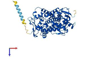 AlphaFold protein structure predicition of Mouse Recombinant Cyp2s1 Protein, UniprotID Q9DBX6