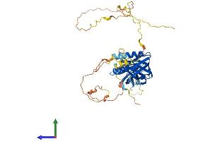 AlphaFold protein structure predicition of Mouse Recombinant Dok2 Protein, UniprotID O70469
