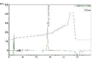 IFN alpha 2a protein