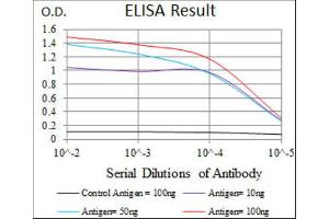 ELISA image for anti-Sex Determining Region Y (SRY) (AA 1-204) antibody (ABIN1846456) (SRY anticorps  (AA 1-204))