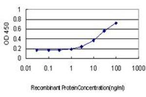 Detection limit for recombinant GST tagged CXCL5 is approximately 1ng/ml as a capture antibody.