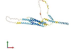 AlphaFold protein structure predicition of Human Recombinant STX5 Protein, UniprotID Q13190