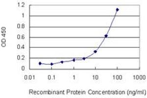 Detection limit for recombinant GST tagged DCTN1 is 0. (Dynactin 1 anticorps  (AA 1-198))