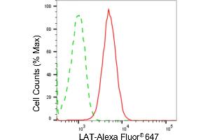 Flow cytometric analysis of LAT expression in HT- cells using LAT antibody (ABIN7799272), 1:2,000).