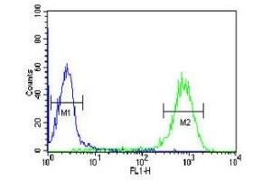 DLK2 antibody flow cytometric analysis of HL-60 cells (green) compared to a negative control (blue).
