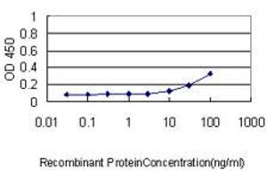 Detection limit for recombinant GST tagged VBP1 is approximately 1ng/ml as a capture antibody.