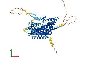 AlphaFold protein structure predicition of Human Recombinant SLC1A1 Protein, UniprotID P43005
