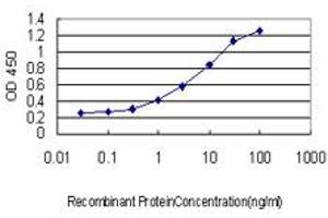 Detection limit for recombinant GST tagged FOXO1A is approximately 0. (FOXO1 anticorps  (AA 556-655))
