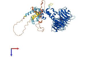 AlphaFold protein structure predicition of Human Recombinant BTRC Protein, UniprotID Q9Y297